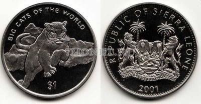 монета Cьерра-Леоне 1 доллар 2001 год  львица