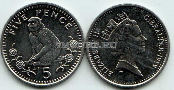 монета Гибралтар 5 пенсов 1989 год Обезьяна