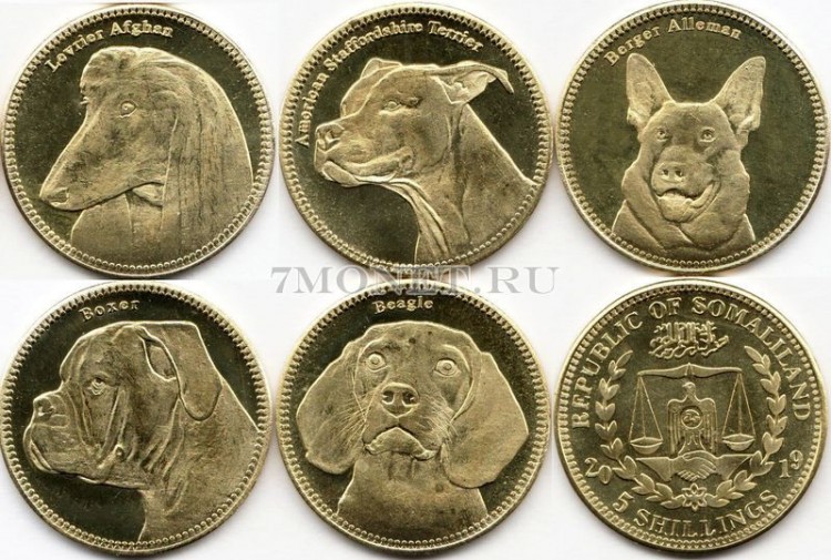 Сомалиленд набор из 5-ти монет 2019 год Собаки