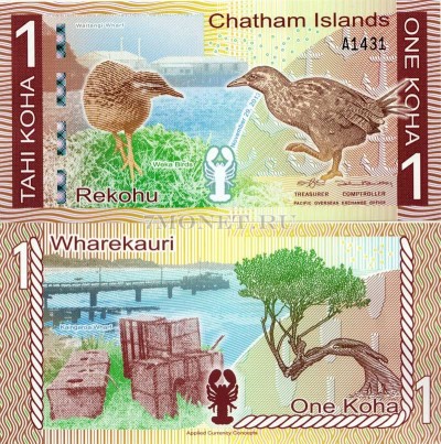 бона Острова Чатем 1 коха 2013 год Новозеландский пастушок-уэка