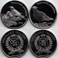 Шетландские острова набор из 2-х монет 1 фунт 2016 год птицы. Короткохвостый поморник