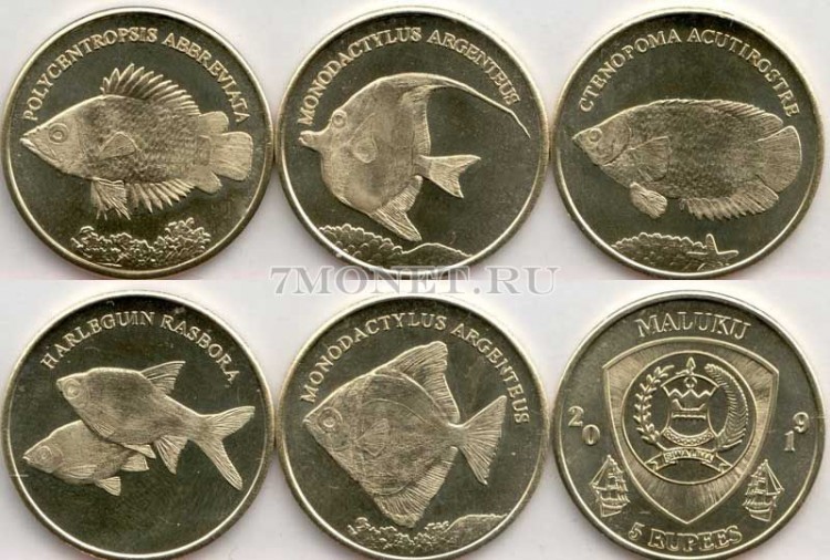 Малуку набор из 5-ти монет 5 рупий 2019 год Рыбы