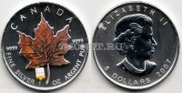 монета Канада 5 долларов 2007 год коричневый кленовый лист эмаль