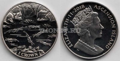 монета Остров Вознесения 1 крона 2018 год Креветки