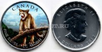 монета Канада 5 долларов 2012 год пума, эмаль