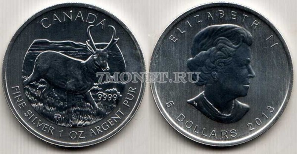 монета Канада 5 долларов 2013 год серия «Дикая природа» антилопа