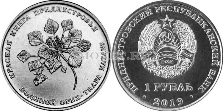 монета Приднестровье 1 рубль 2019 год Водяной орех (чилим)