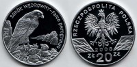 монета Польша 20 злотых 2009 год сокол обыкновенный PROOF