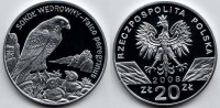 монета Польша 20 злотых 2009 год сокол обыкновенный PROOF