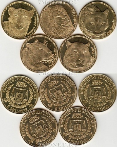 Сомалиленд набор из 5-ти монет 2016 год Дикие кошки