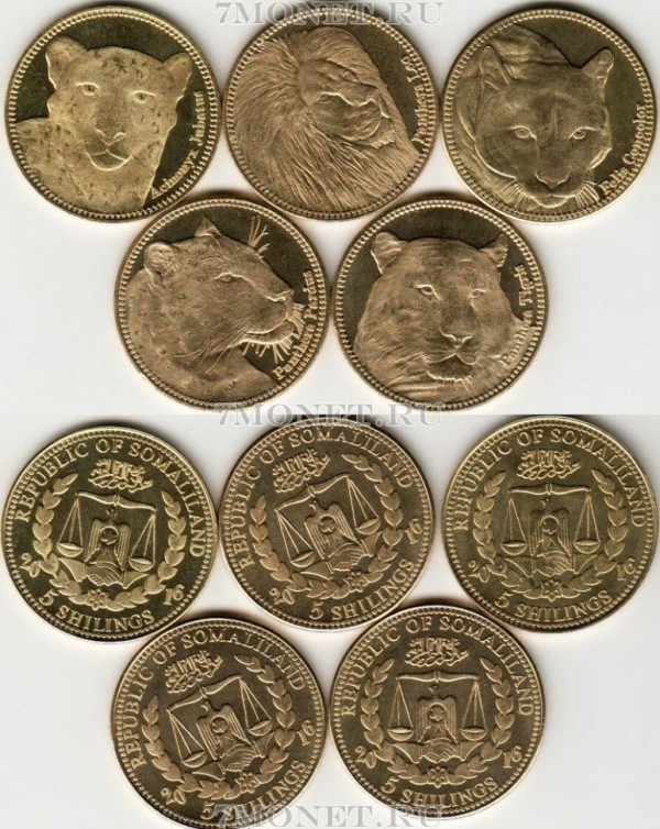 Сомалиленд набор из 5-ти монет 2016 год Дикие кошки