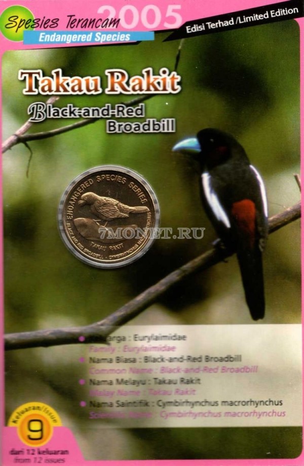 монета Малайзия 25 сен 2005 год Краснобрюхий рогоклюв в буклете