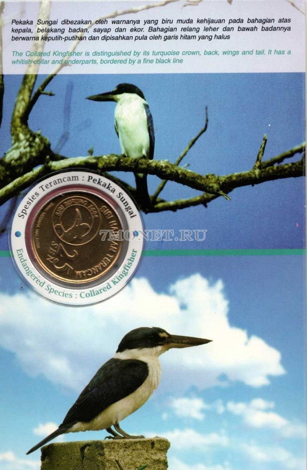 монета Малайзия 25 сен 2005 год Белошейная альциона в буклете