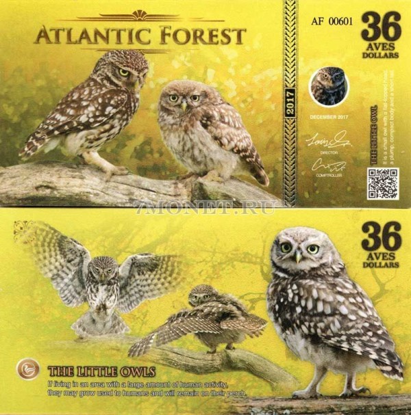 бона Атлантический лес (Южной Америки) 36 долларов 2017 год Домовый сыч