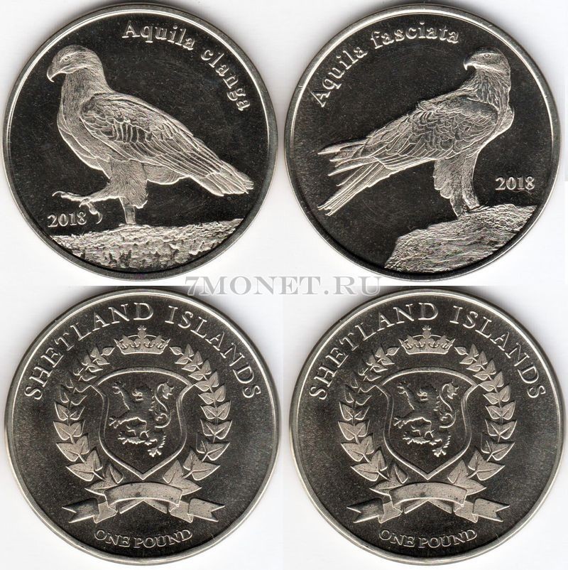 Шетландские острова (Шотландия) набор из 2-х монет 1 фунт 2018 год птицы. Ястребиный орёл и Большой подорлик 