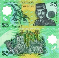 бона Бруней 5 ринггит 1996-2002 год пластик