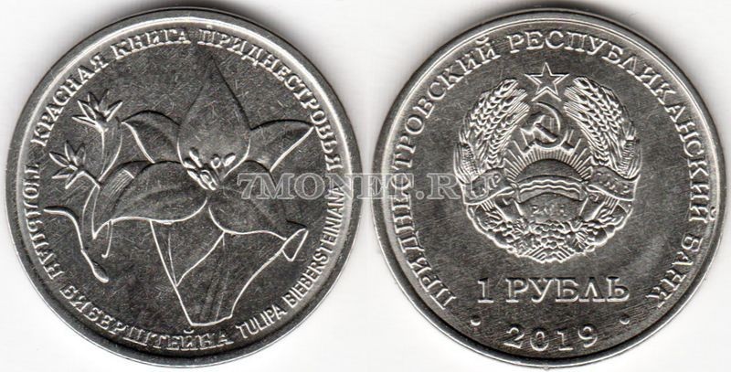 монета Приднестровье 1 рубль 2019 год Тюльпан Биберштейна