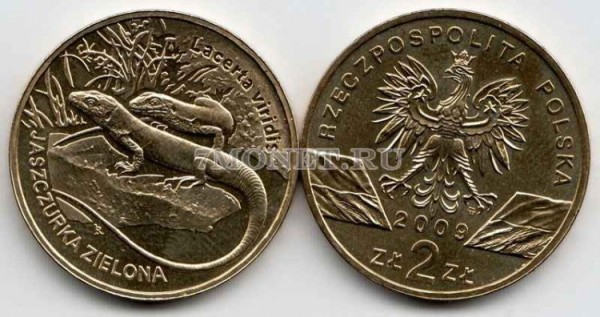 Польша 2 злотых 2009 год ящерица
