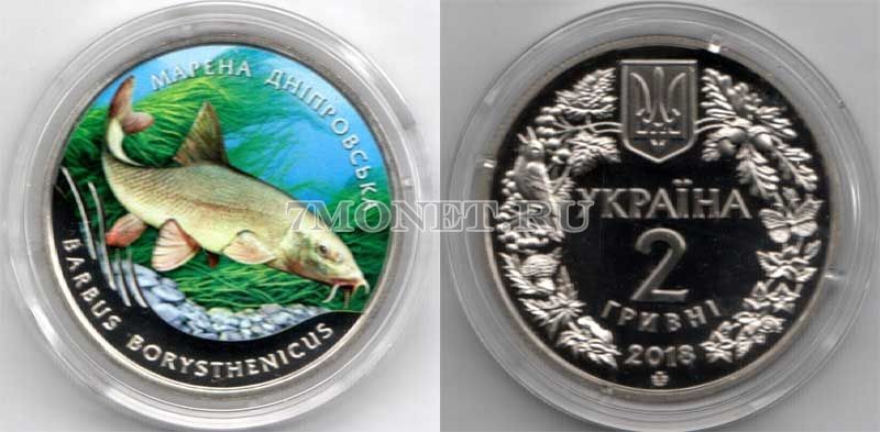 монета Украина 2 гривны 2018 год Рыба Марена Днепровская