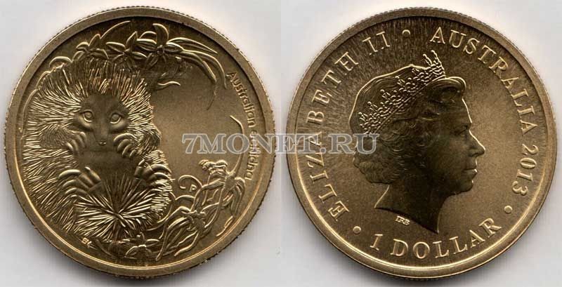 монета Австралия 1 доллар 2013 год Серия детеныши животных - Ехидна