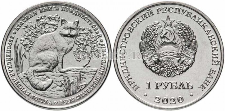 монета Приднестровье 1 рубль 2020 год Европейская лесная кошка