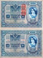 бона Австрия 1000 крон 1919 (1902) год. С надпечаткой