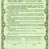 АООТ ЧИФ Нефть-Алмаз-Инвест Сертификат на 10 акций 1993