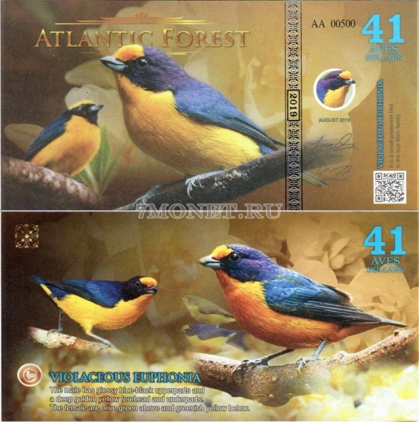 бона Атлантический лес 41 доллар 2019 год Фиолетовая Эуфония