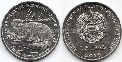 монета Приднестровье 1 рубль 2018 год Выдра