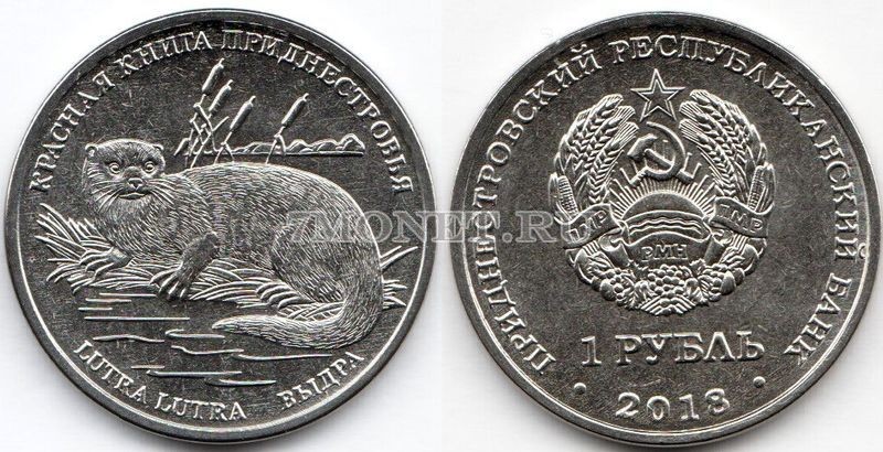монета Приднестровье 1 рубль 2018 год Выдра